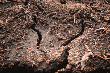 Drought