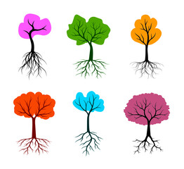 Set Trees with colour autumn leaves and Roots. Vector outline Illustration. Plant in Garden. EPS file.