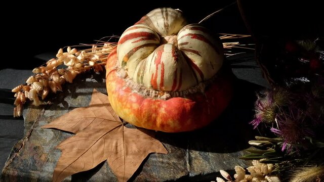 Autumn still life decoration with turban pumpkin and fallen leaves and dried flowers on dark background. Thanksgiving and Halloween concept. Orange and brown fall mock-up.