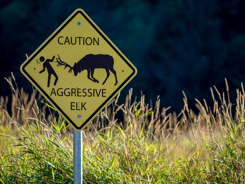 Caution sign on the Lady Bird Johnson Trail in Redwood National Park, California