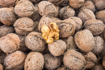 Walnut, a lot of ripe nut fruits (juglans regia), tasty and healthy organic food, natural background