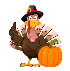 Funny cartoon character Thanksgiving Turkey bird