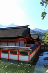 Fototapeta premium 厳島神社