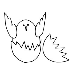 Chicken hatched from egg. Easter illustration. Drawn with outline in doodle style. Vector.