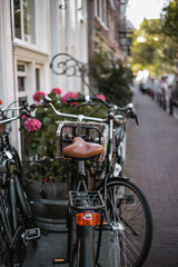 Fototapeta na wymiar black bicycle with a brown seat and red fire on the trunk is parked on a street in Amsterdam with pink flowers behind 