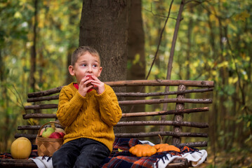 A boy of 4 - 5 years old sits on a wooden bench in an autumn park, plays with pumpkin and squash. Handicrafts for children.
