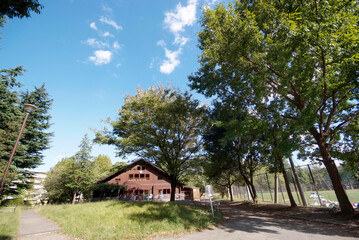 美しが丘公園（横浜市青葉区）