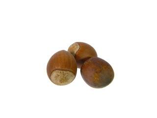 ripe walnut isolated on white background