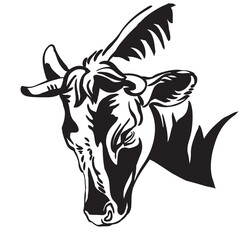 Abstract contour portrait of angry bull vector