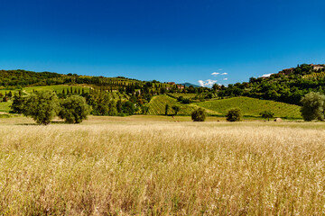 Romanesque abbey of San Antimo in Siena in summer