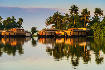 Houseboats moored at dawn after the overnight stay on the popular backwater cruise, Alappuzha (Alleppey), Kerala, India