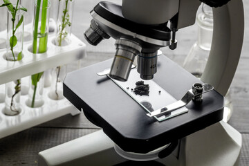 Biological research. Glass in test tubes with microscope on lab table