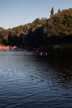Vertical landscape of Los Reartes River in Cordoba, Argentina