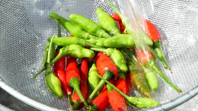 Fresh red and green chilli pepper are in colander under running water, vegetables are washed to prepare cooking. Healthy eating.