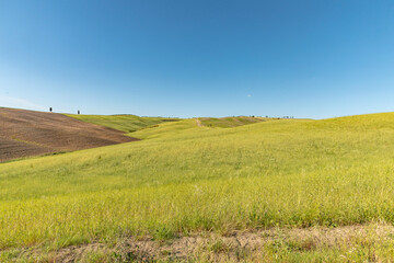 Colline di Montalcino in provincia di SIENA