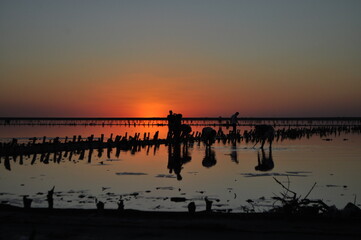 sunset on the beach