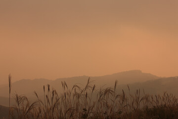 Obraz premium 秋吉台から望む朝の山並み