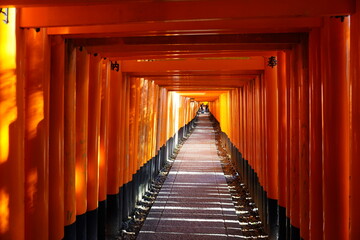 Fototapeta premium 日本京都伏見稲荷大社の千本鳥居。