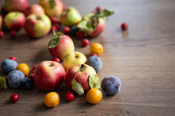 Fototapeta na wymiar ripe apples on a table