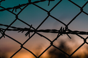 barbed wire fence at sunset sky tree silhouette