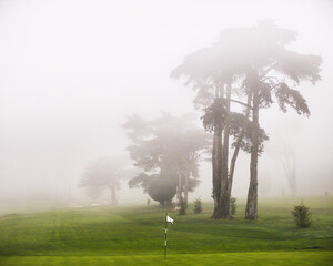 presidio golf course fog in San Francisco