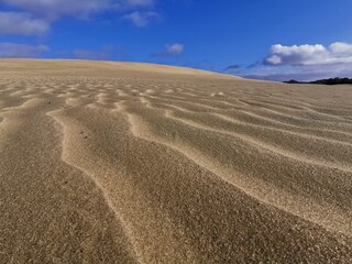 Wavelike patterns in the sand