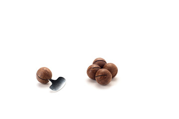 Macadamia nut , on a white background with shadows