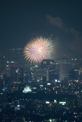 なにわ淀川花火大会