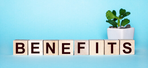 The word BENEFITS is written on wooden cubes near a flower in a pot on a light blue background