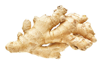 Fresh natural ginger root isolated on white background, full depth of field. Raw vegetable design element composition, focus stacking. Spicy herb medical ginger rhizome, healthy food nutrition concept