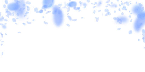 Dark blue flower petals falling down. Modern roman