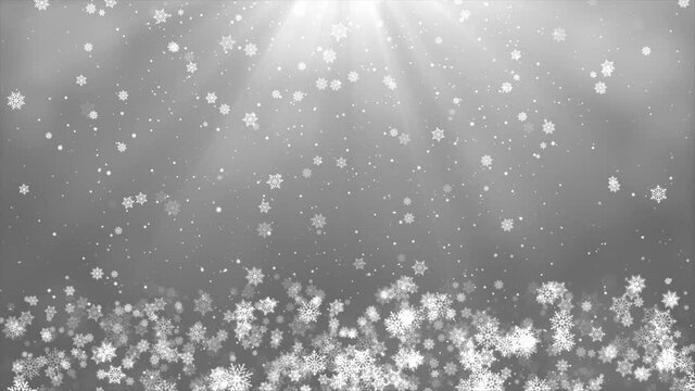 Silver Sparkling Lights Festive Loop Snow background with texture. Abstract Christmas twinkled bright bokeh defocused and Falling stars. Winter Card or invitation