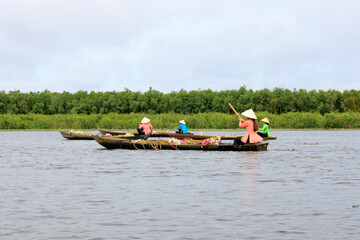 Landscape photo: girls picking lily pads (Vietnam)