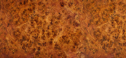 Nature Afzelia burl wood striped are wooden beautiful pattern for crafts or art background