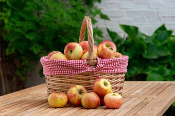 Frische Äpfel im Korb auf einem Gartentisch im Herbst
