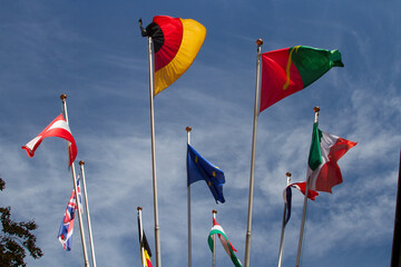 Many europeans flags in the wind against the sky