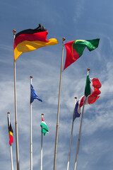Many europeans flags in the wind against the sky