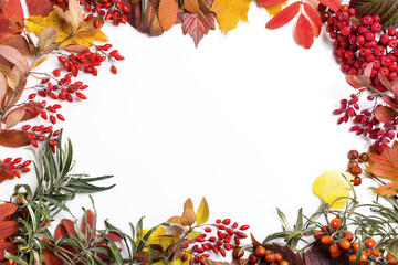 Image with autumn leaves.