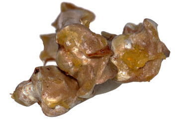 chicken bones isolated on white background