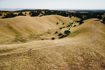 Mountain bike rider in the Zagajica Hills, sandy terrain of Deliblato Sands. Looking backward