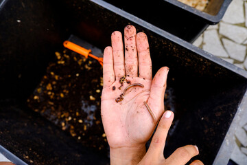 hands of a person and worm