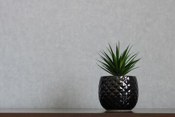 Artificial succulent plant with long pointy leaves in black textured vase placed off-centered on...