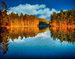 autumn trees reflected in water
