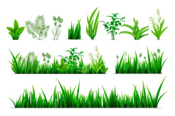 Realistic spring grass set. Collection of realism style drawn green fresh plants or garden seasonal botanical greens herbs leaves mockup. Illustration of natural lawn meadow bushes template.