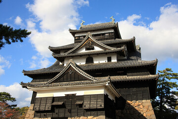 Fototapeta premium 松江城