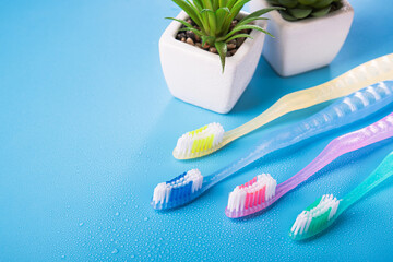 Colored toothbrushs with water drops