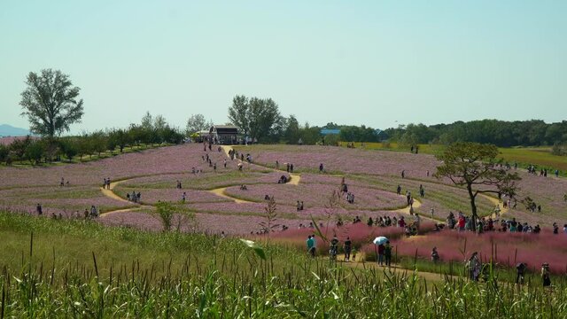 「KDrama」の画像 272 件の Stock 写真、ベクターおよびビデオ Adobe Stock
