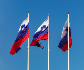 Slovenian Flags