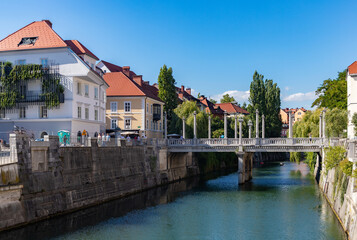 Obraz premium Cobblers Bridge