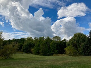 clouds over the forest